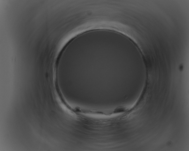 X0000093511515200710191259