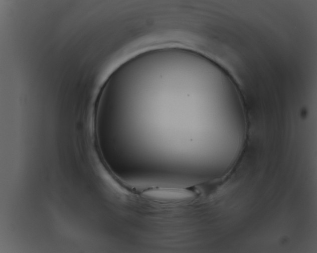 X0000093511516200710191259