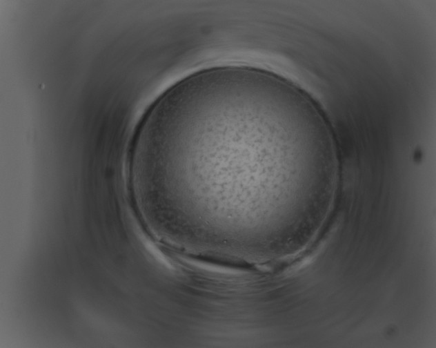 X0000093511517200710191259