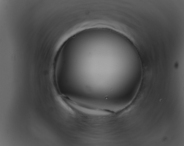 X0000093511518200710191259