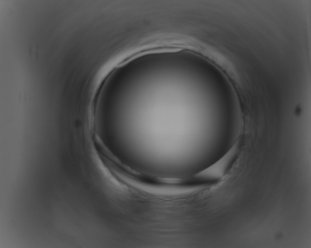 X0000093511520200710191259