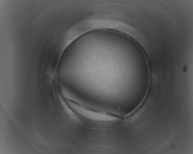 X0000093511521200710191259