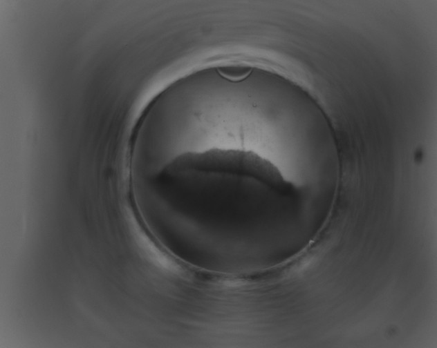 X0000093511522200710191259