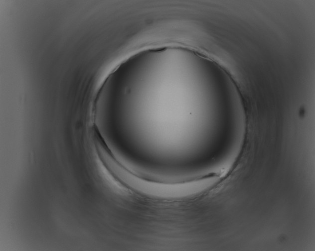 X0000093511524200710191259