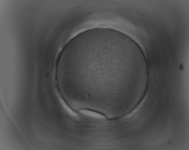 X0000093511525200710191259