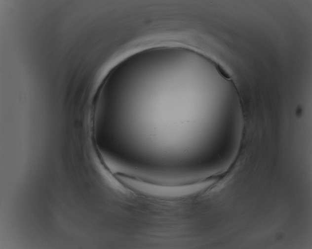 X0000093511526200710191259