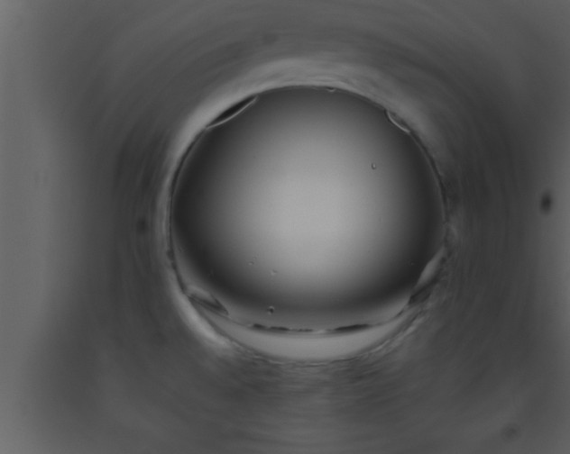 X0000093511528200710191259