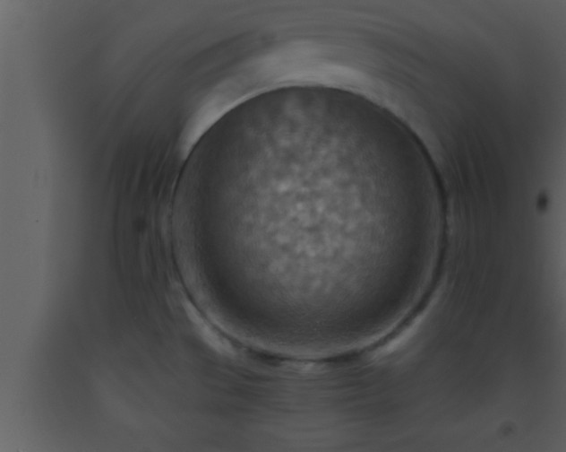 X0000093511529200710191259