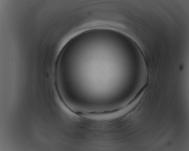 X0000093511531200710191259