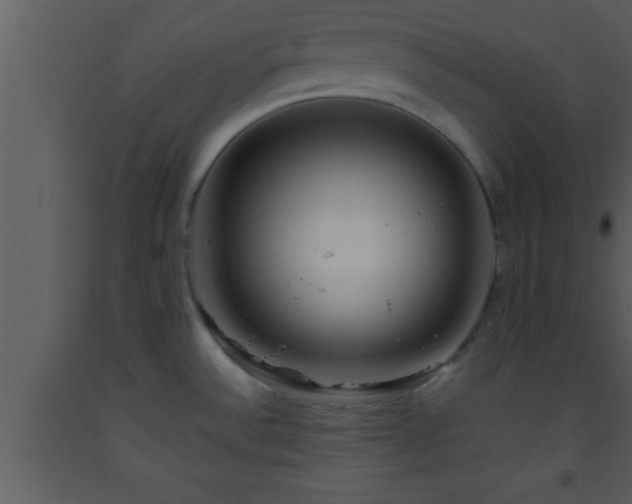X0000093511532200710191259