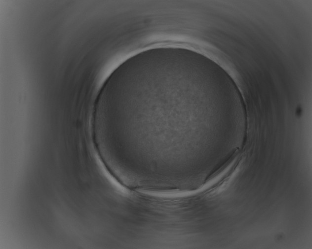 X0000093511533200710191259
