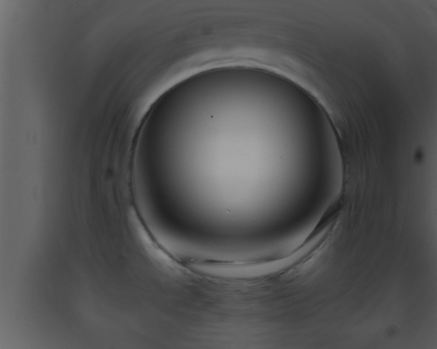 X0000093511534200710191259
