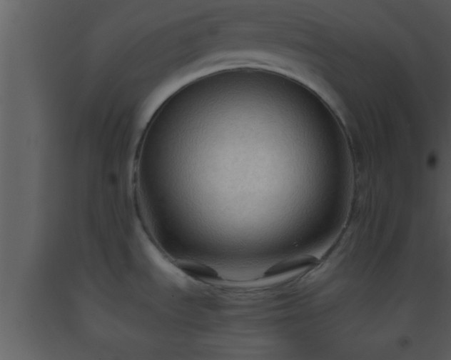 X0000093511535200710191259