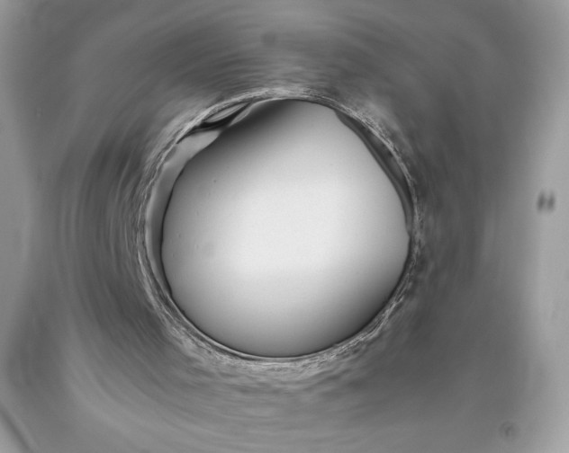 X0000093510001200710261208