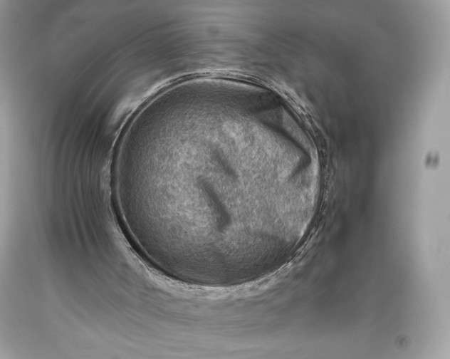 X0000093510002200710261208