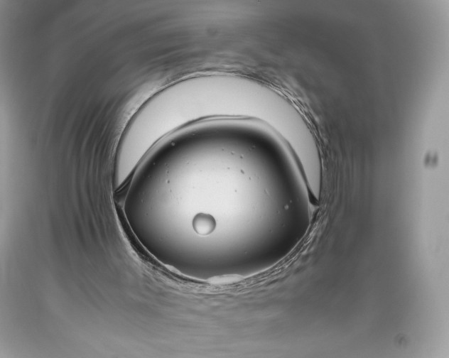 X0000093510003200710261208