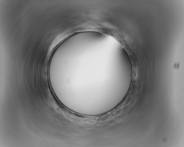 X0000093510004200710261208