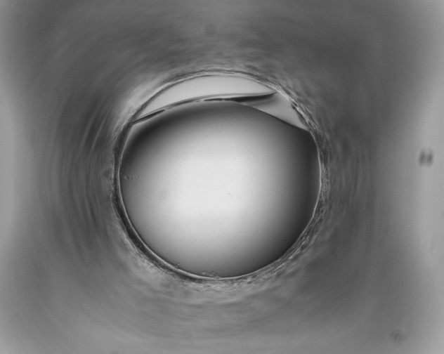 X0000093510005200710261208