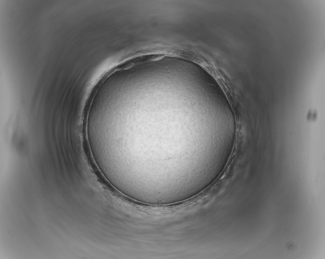 X0000093510006200710261208