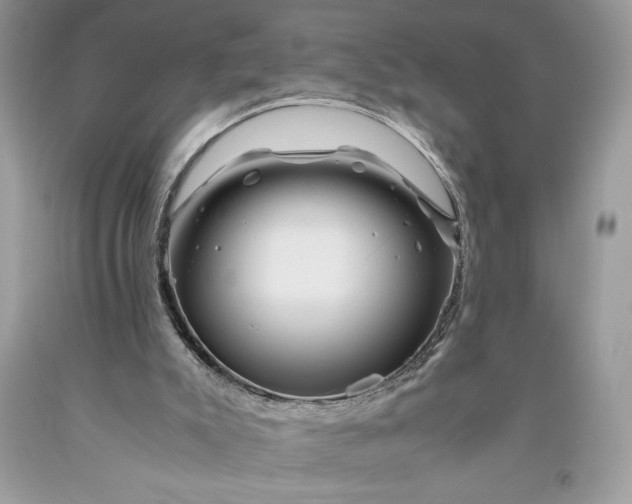 X0000093510007200710261208