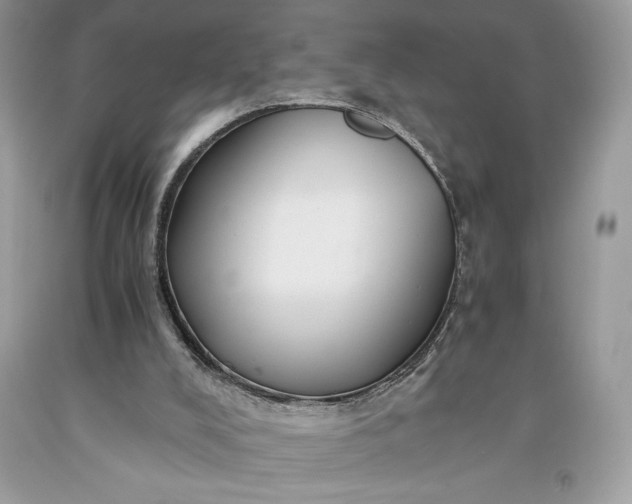 X0000093510008200710261208