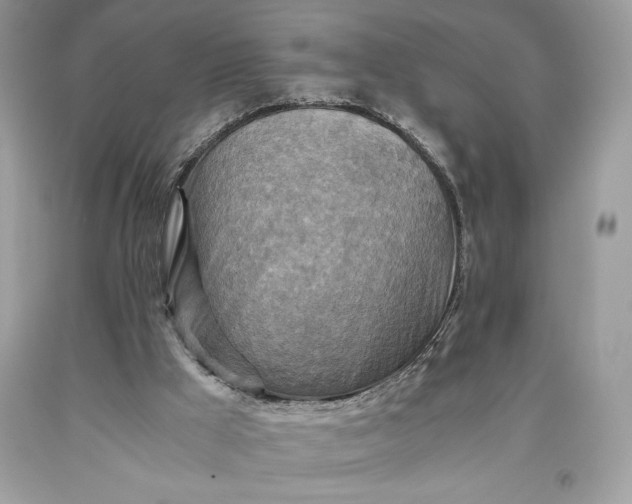 X0000093510009200710261208