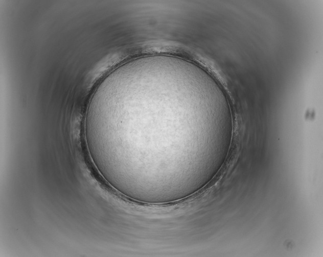 X0000093510010200710261208