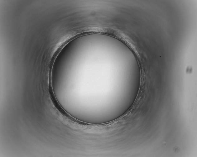 X0000093510011200710261208