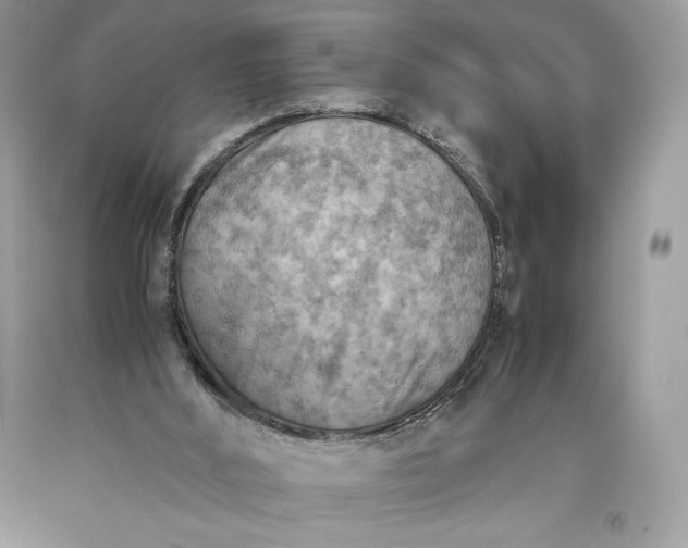 X0000093510012200710261207