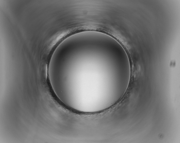 X0000093510013200710261207