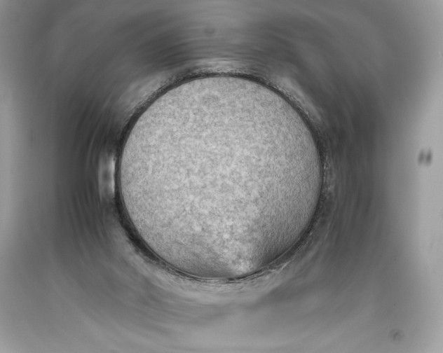 X0000093510014200710261207