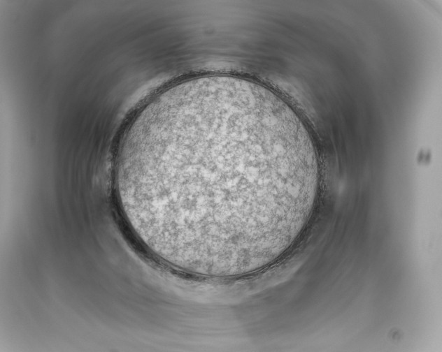 X0000093510016200710261207