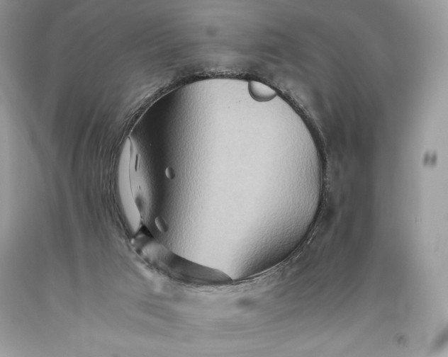 X0000093510017200710261207