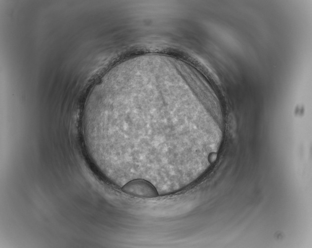 X0000093510018200710261207