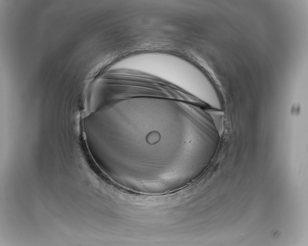 X0000093510019200710261207