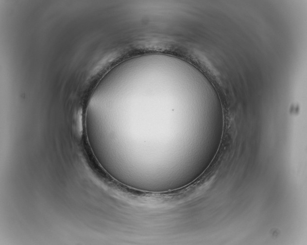 X0000093510020200710261207