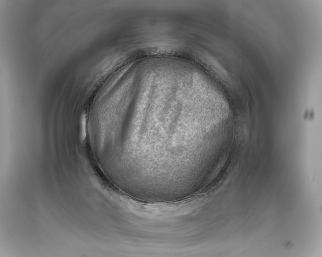 X0000093510022200710261207