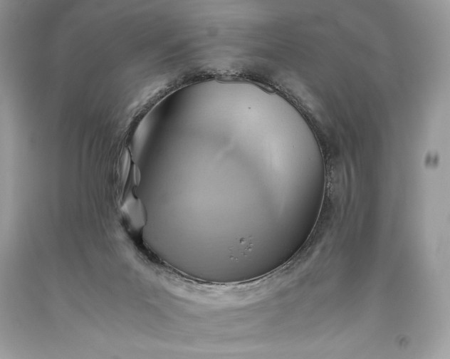 X0000093510023200710261207