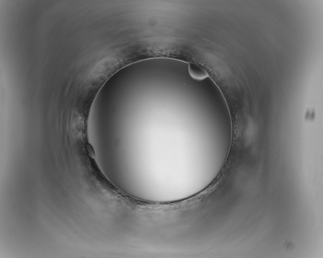 X0000093510025200710261207