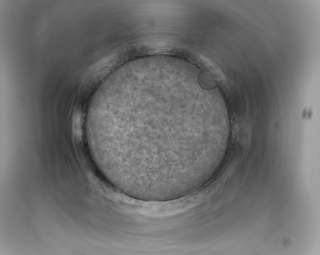 X0000093510026200710261207