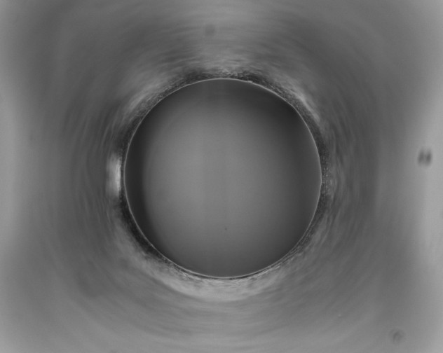 X0000093510027200710261207