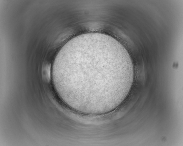 X0000093510028200710261207