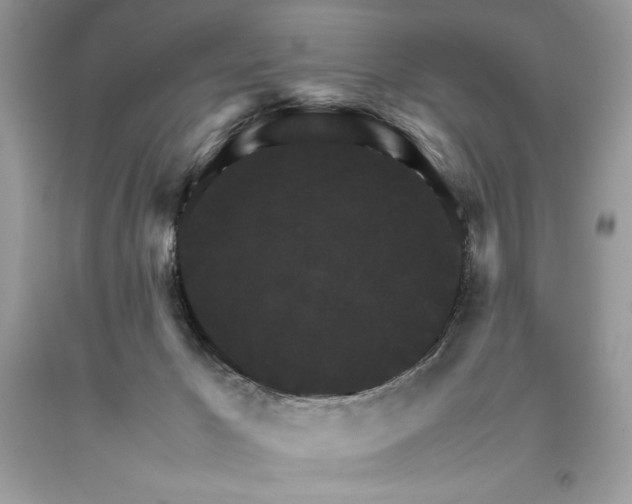 X0000093510029200710261207