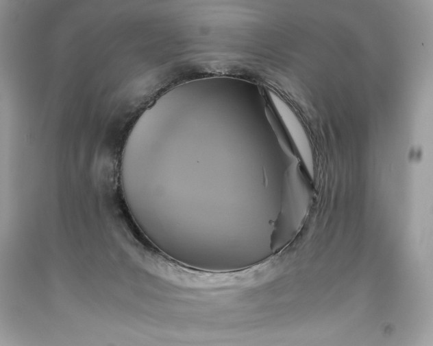 X0000093510031200710261207