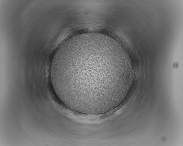 X0000093510032200710261207