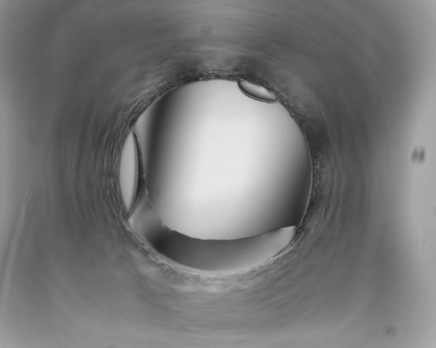 X0000093510033200710261207