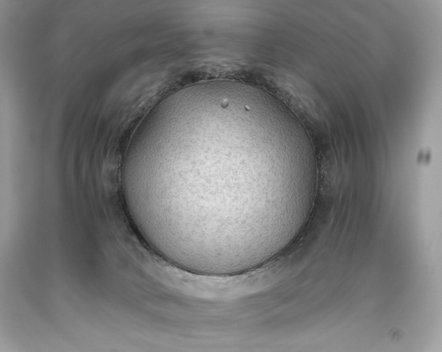 X0000093510034200710261207