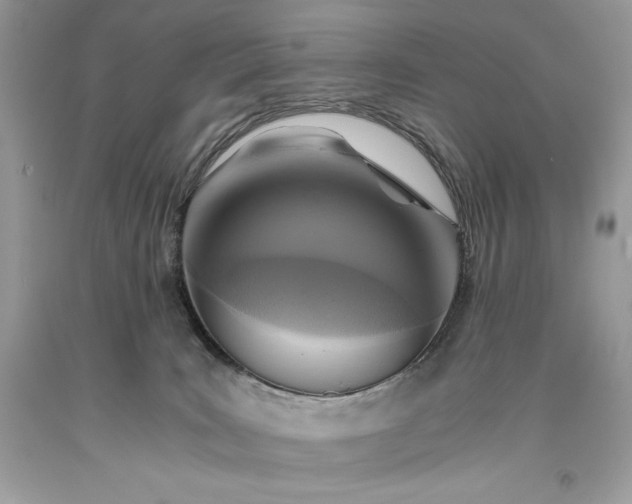 X0000093510035200710261207