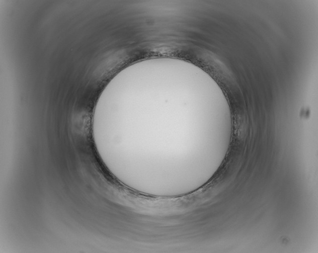 X0000093510036200710261207