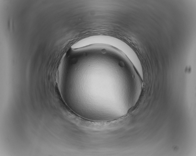 X0000093510037200710261207